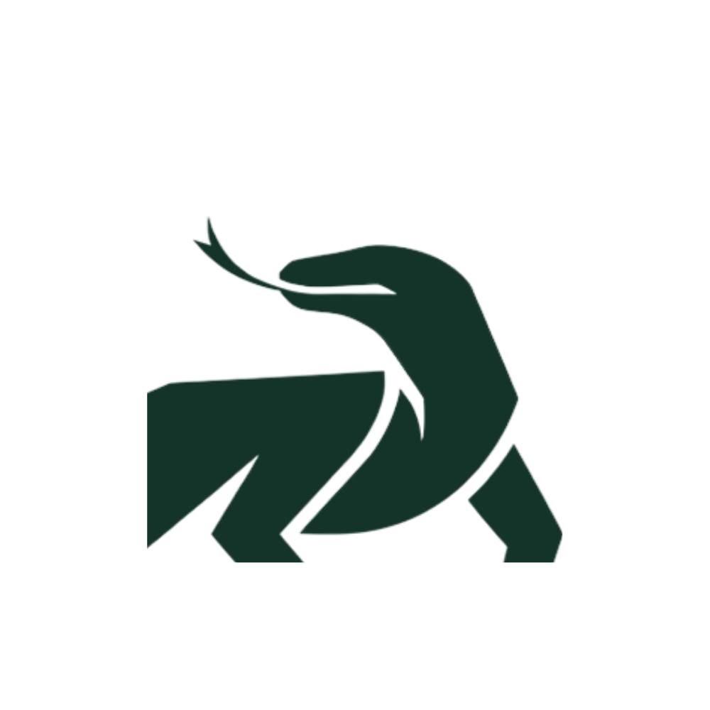 Komodo Capital